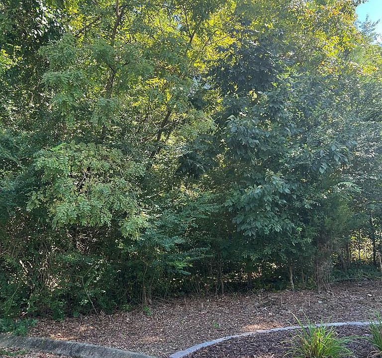 2nd image of LOT 30 Covenant Cv NE