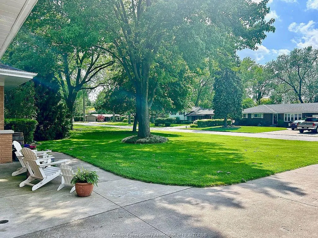 3 bed, $3,000 — Photo 3