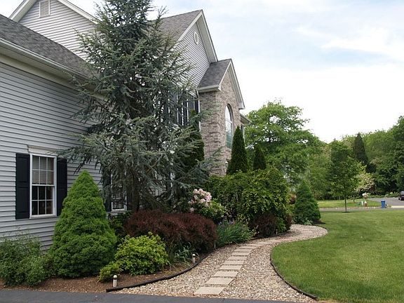Landscaping at the front