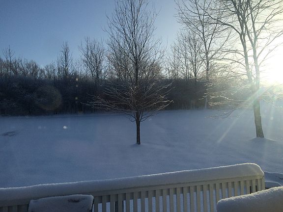 Backyard from Kitchen Door