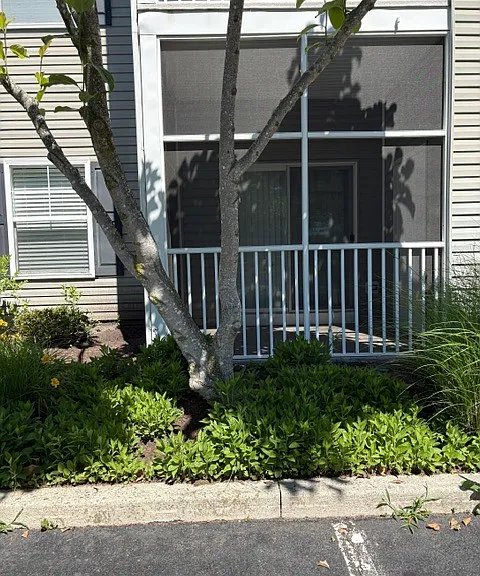 34670 Villa Cir #2105 — Photo 14