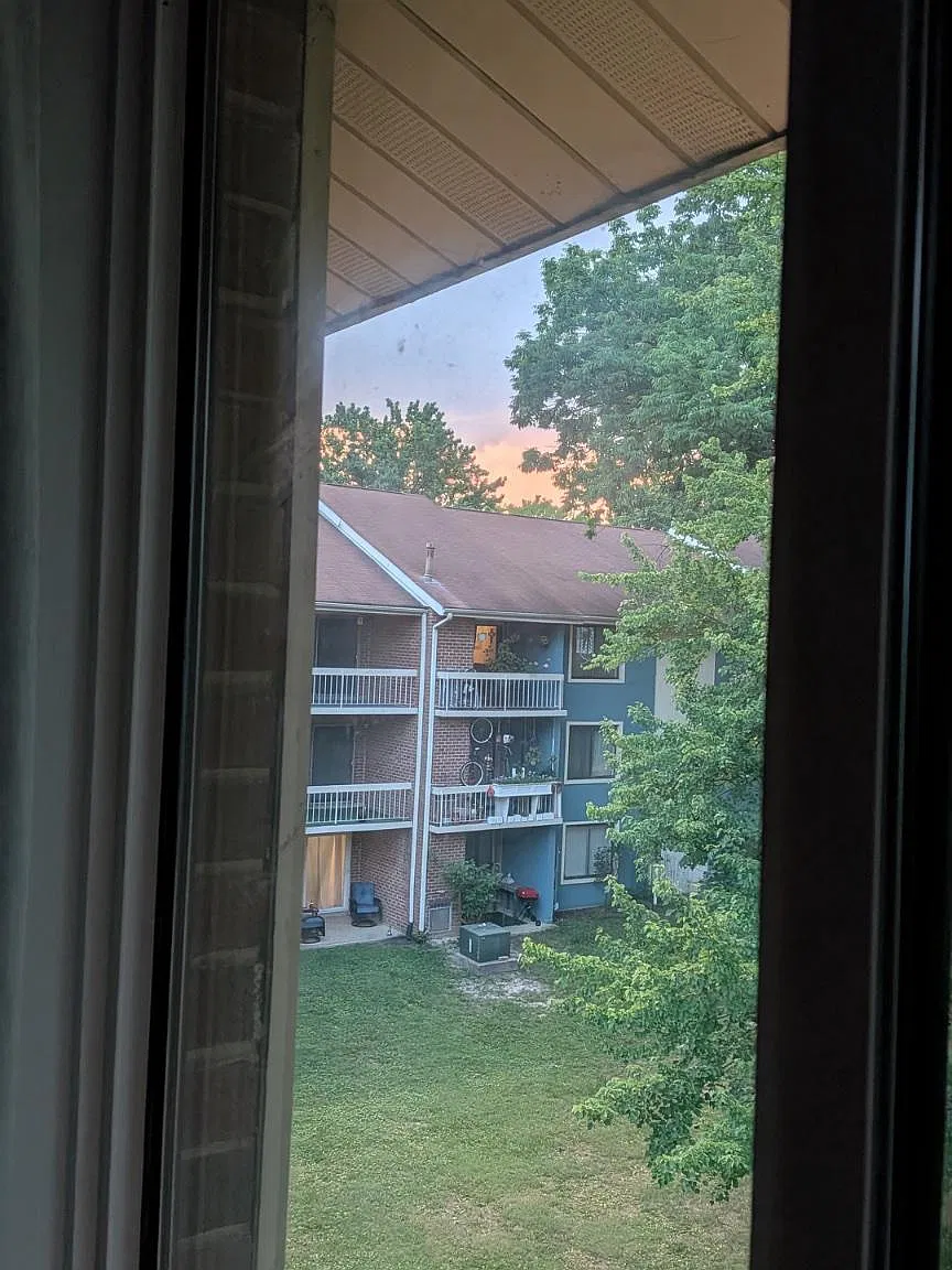1 bed, 1.0 bath, 934 sqft, $1,850 — Photo 3