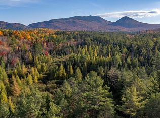 53 Lucky Way, Saranac Lake, NY 12983
