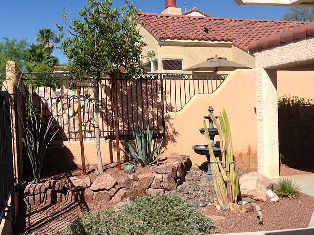 Backyard - Side View