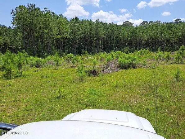 0 Us Highway 49, Mendenhall, MS 39114