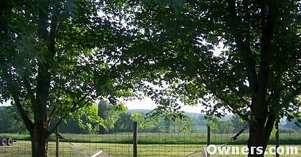 view of pasture from yard
