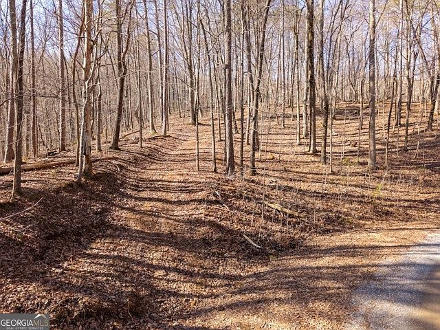 1st image of 1110 Mayfield Ln NE