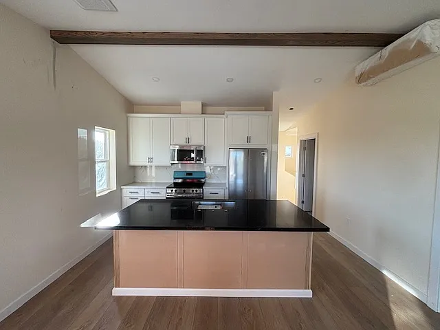 1 bed, 815 sqft, $3,100 — Photo 4