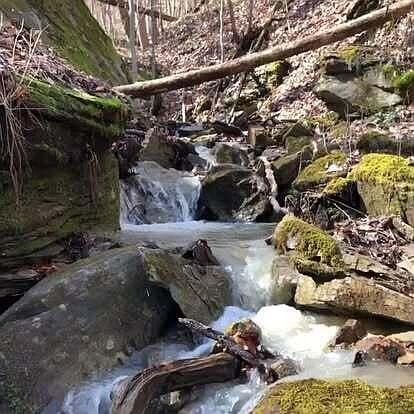 4th image of 1922 Star Gap Rd
