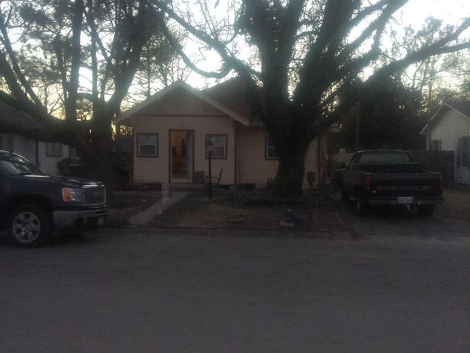 Two Huge Pecan Trees!