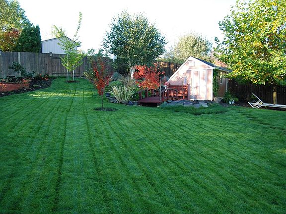 Back yard - office in back