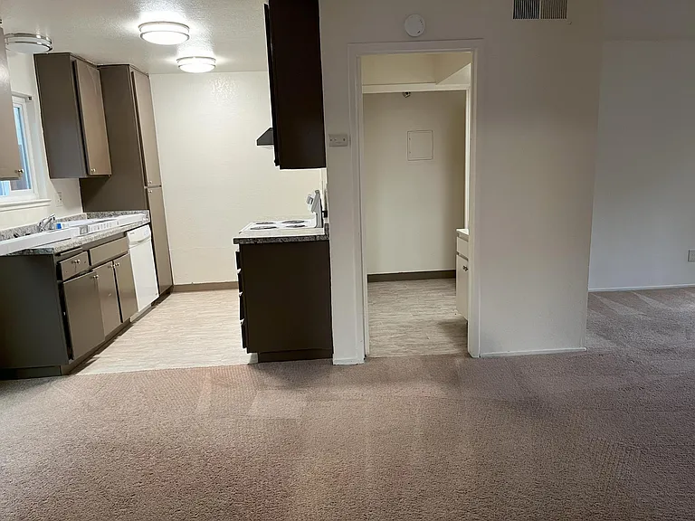 1586 Silver Creek Cir — Photo 4