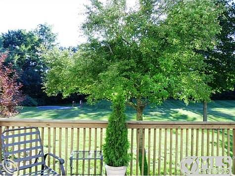 Incredible Backyard