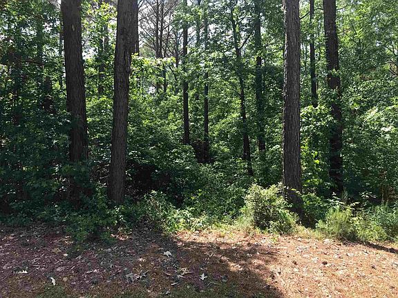 4th image of 323 Reynolds Dr