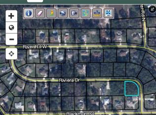 1313 Riviera Dr, Green Cove Springs, FL 32043