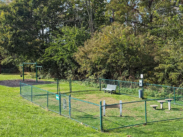 Dog Park 2