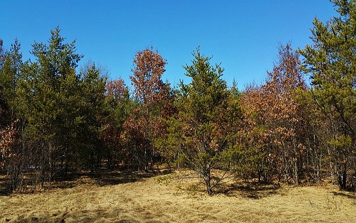 2nd image of Necedah Hideaways #1