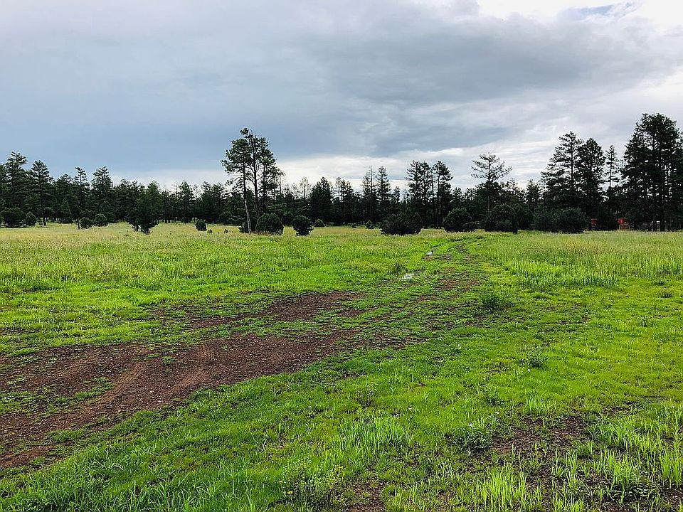 2nd image of 5200 Wild Game Trl