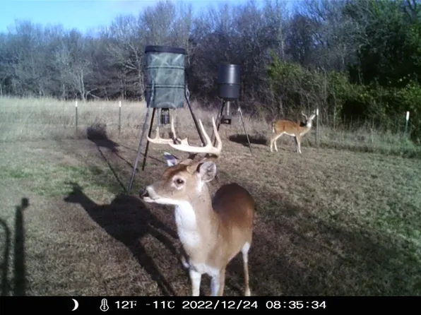 4015 SW County Road 2347, Richland, TX 76681