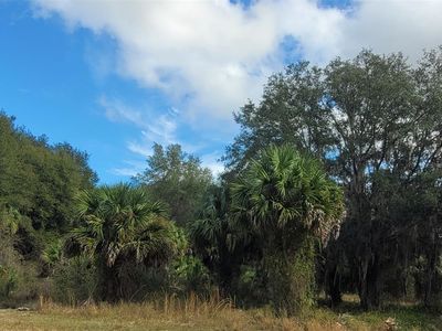 40500 Emeralda Island Rd #8000, Leesburg, FL, 34788
