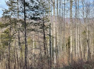 Brown Ridge Ln, Craigsville, VA 24430