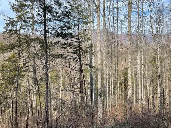 Brown Ridge Ln, Craigsville, VA 24430