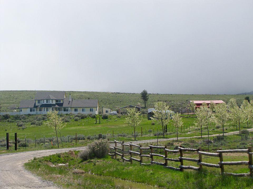 Coming up the driveway