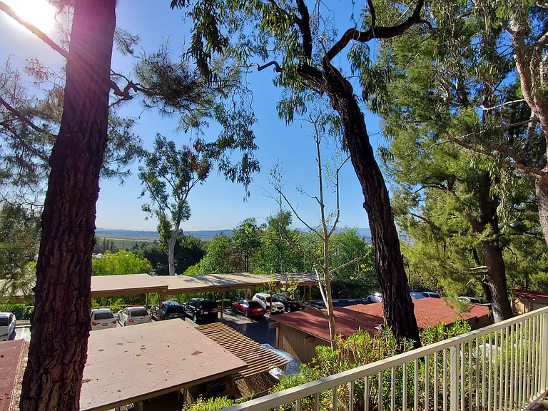 Patio View