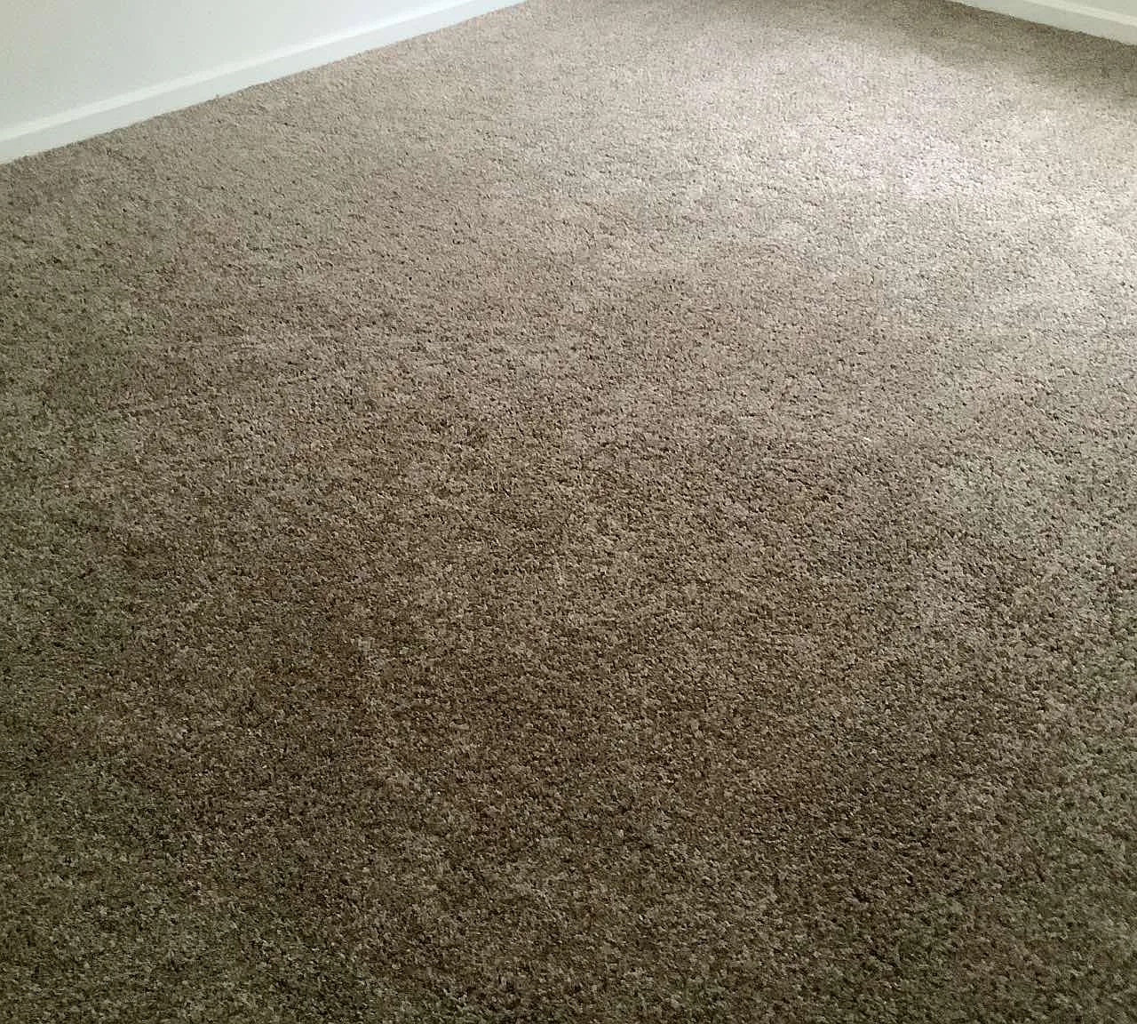 2605 Chester Dr — Photo 3