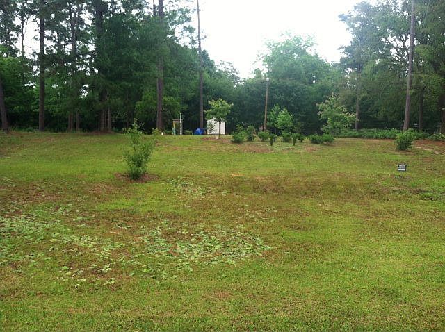 2nd image of 13406 Main St