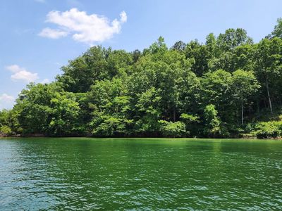 0 County Road 222, Crane Hill, AL, 35053