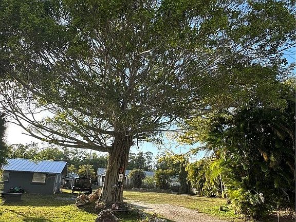 5th image of 19856 Adams Rd