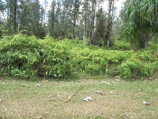 1st image of Malolo St Lot 974