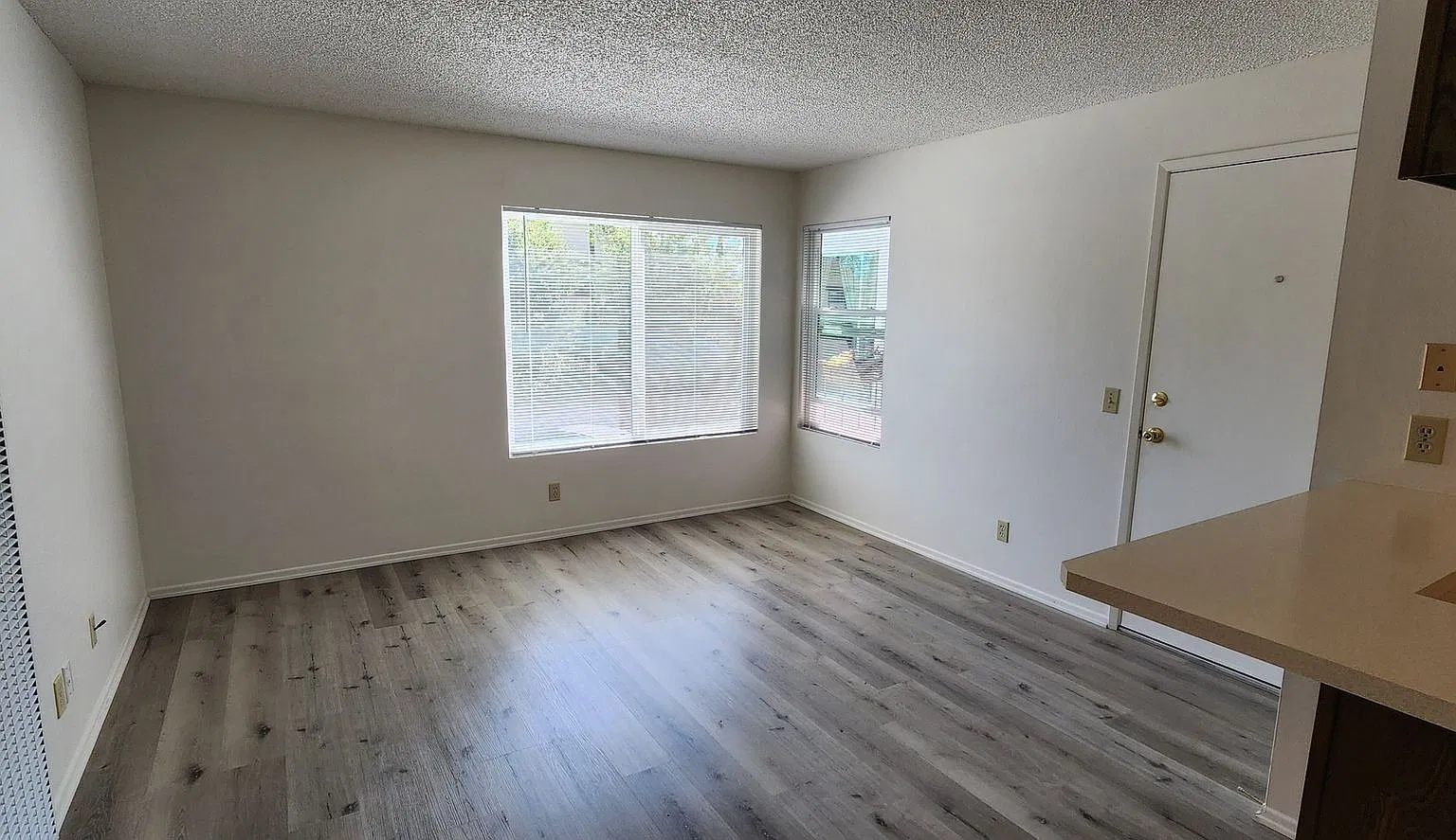 310 5 — Photo 2