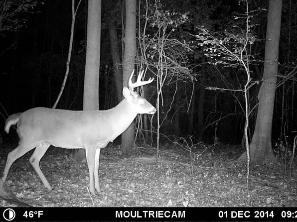 (undisclosed Address), Haynes, AR 72341