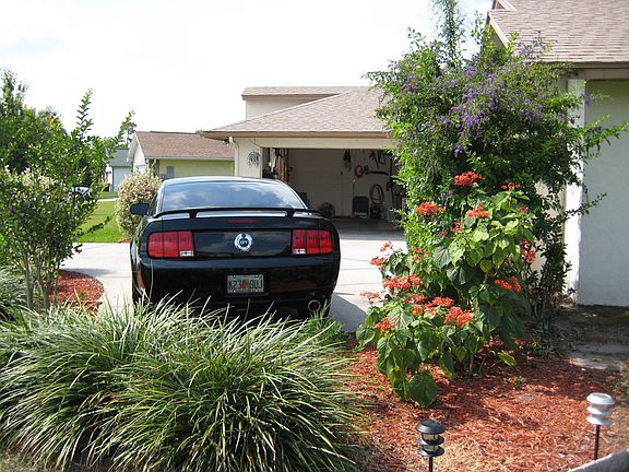 Mustang not included......