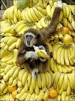 7045 Fairway Dr photo 1