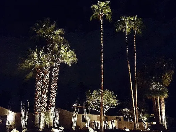 1200 S Manzanita Ave, Palm Springs, CA 92264