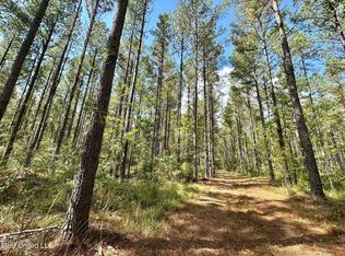 0 Highway 469 N, Florence, MS 39073