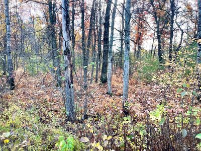 W Fletcher Rd, Roscommon, MI, 48653