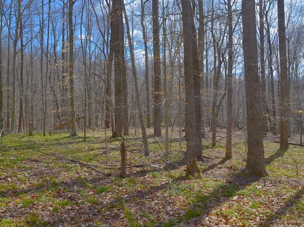 (undisclosed Address), Stuart, VA 24171