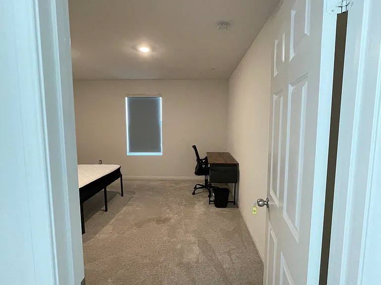 Seeding Palace Cir — Photo 14