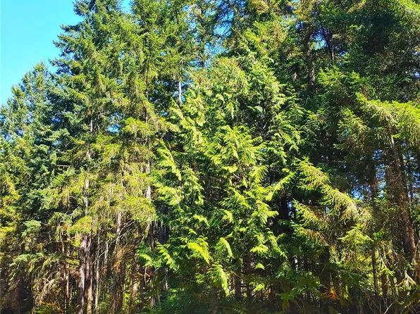 12802 99th Street Ct, Anderson Island, WA 98303