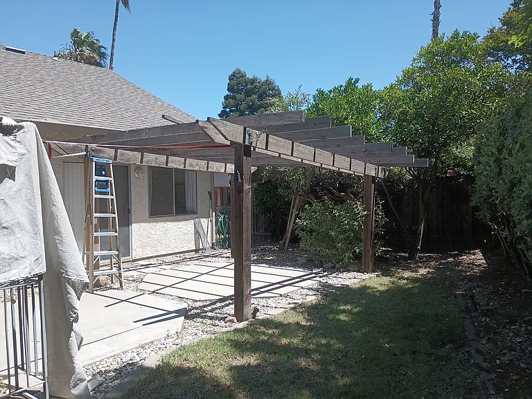 Backyard