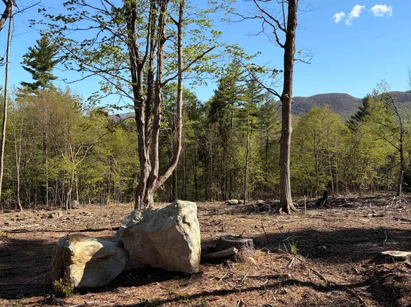 lot B Frost Pond Road, Dorset, VT 05251