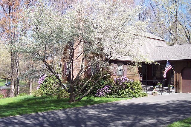 frontal view