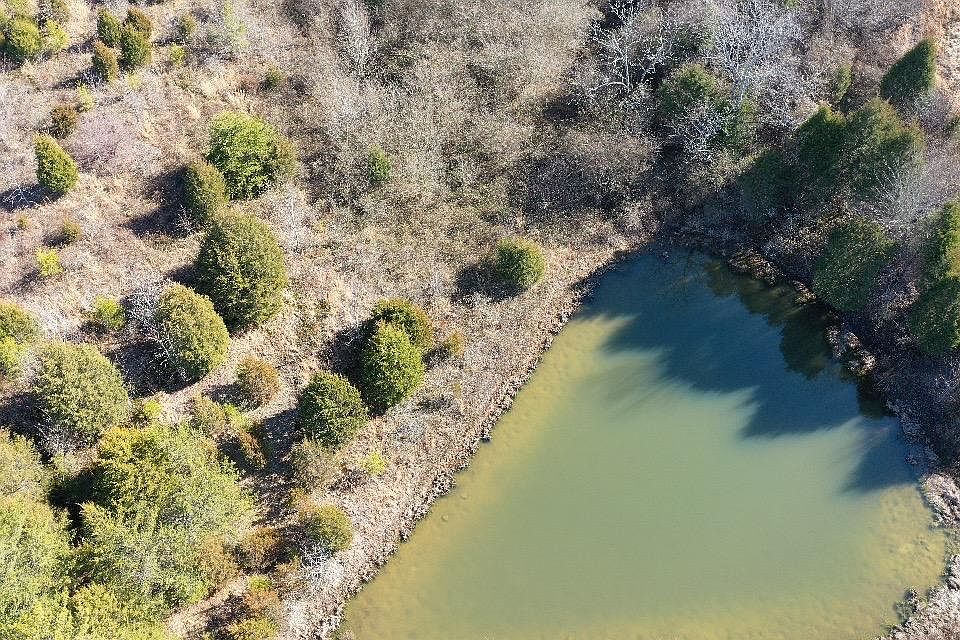 1st image of 6 Treeline Dr