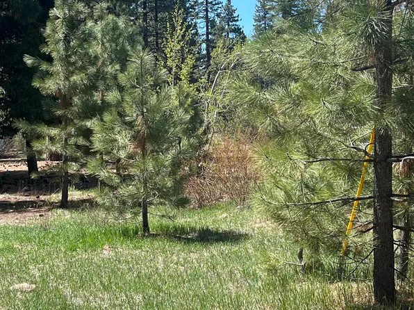 Tiger Ave, Tahoe Vista, CA 96148