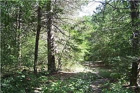 2nd image of 0 Zimmerscheidt Rd
