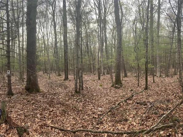 0 Clipper Drive Clipper Drive, Wurtsboro, NY 12790